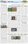 Page-6