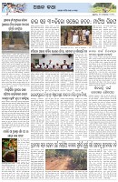 Page-6