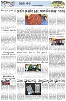 Page-6